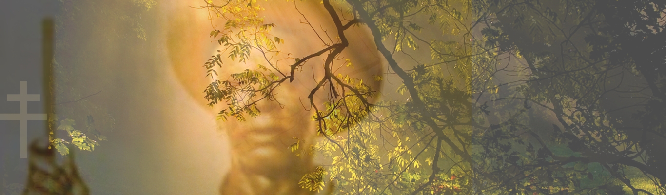 🌿 Mestre Irineu: O Homem que Escutou a Voz da Floresta